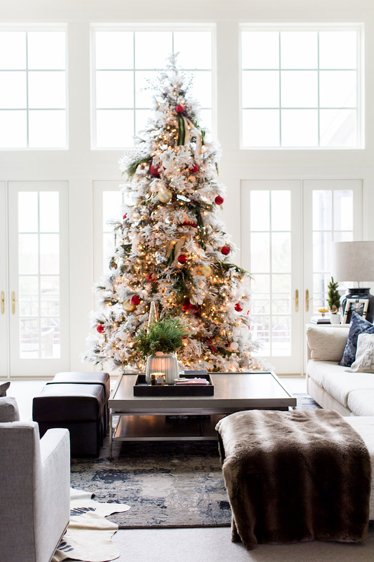 美国圣诞家居魔法装饰-10