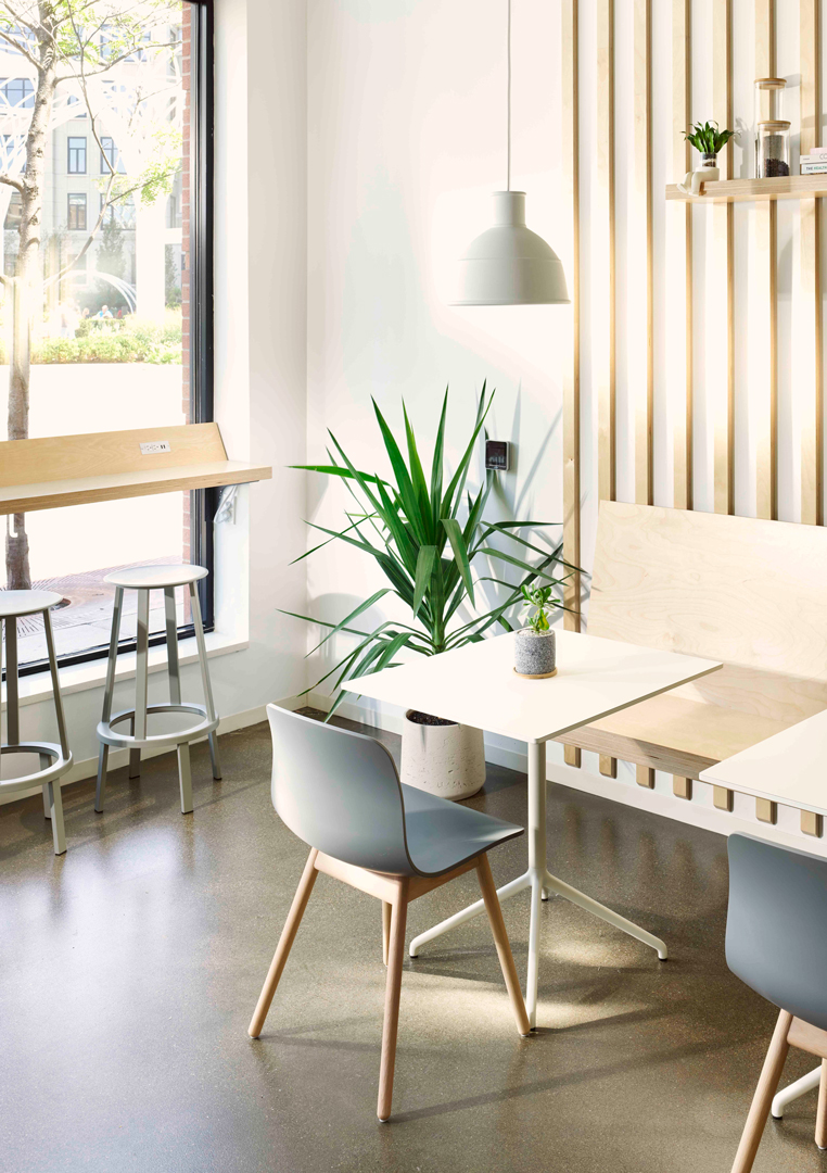 芝加哥纯绿旗舰店-13