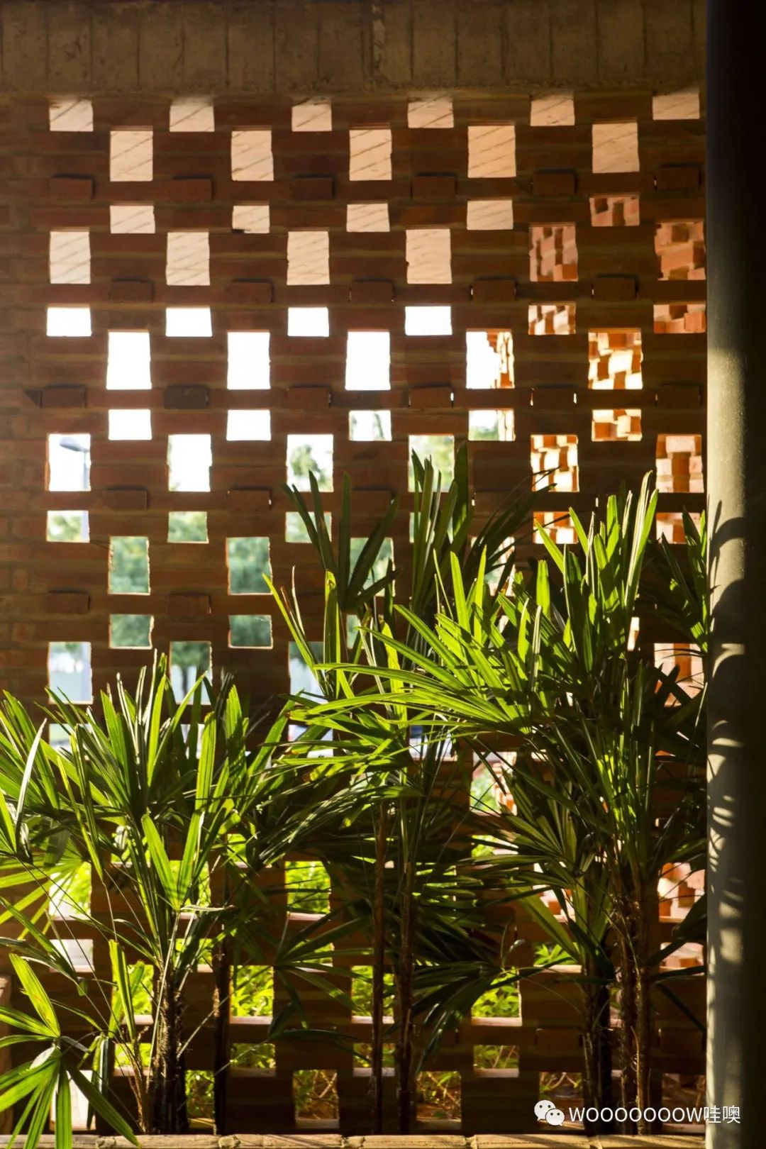 巴西 Unileão 大学体育馆 | 砖纹理与绿意空间的巧妙结合-24