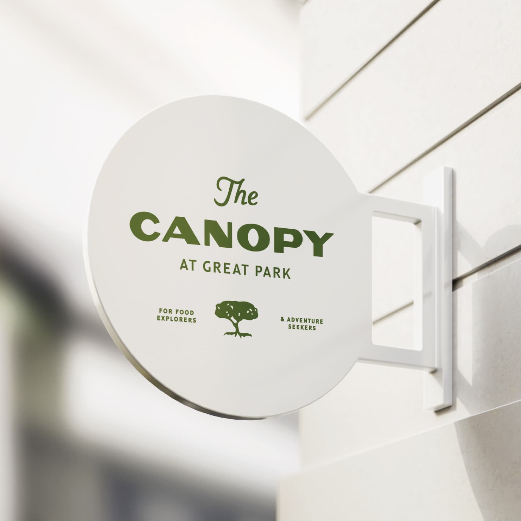 树冠层；天篷（需结合具体语境确定最合适的含义，这里提供常见两种场景的释义，若你能提供更多上下文信息，我将给出更精准的翻译） 

若此译法不符合单一准确要求，烦请你提供这个词组出现的具体语境，便于我给出更符合工作流的结果 丨United StatesCalifornia丨RSM Design-17