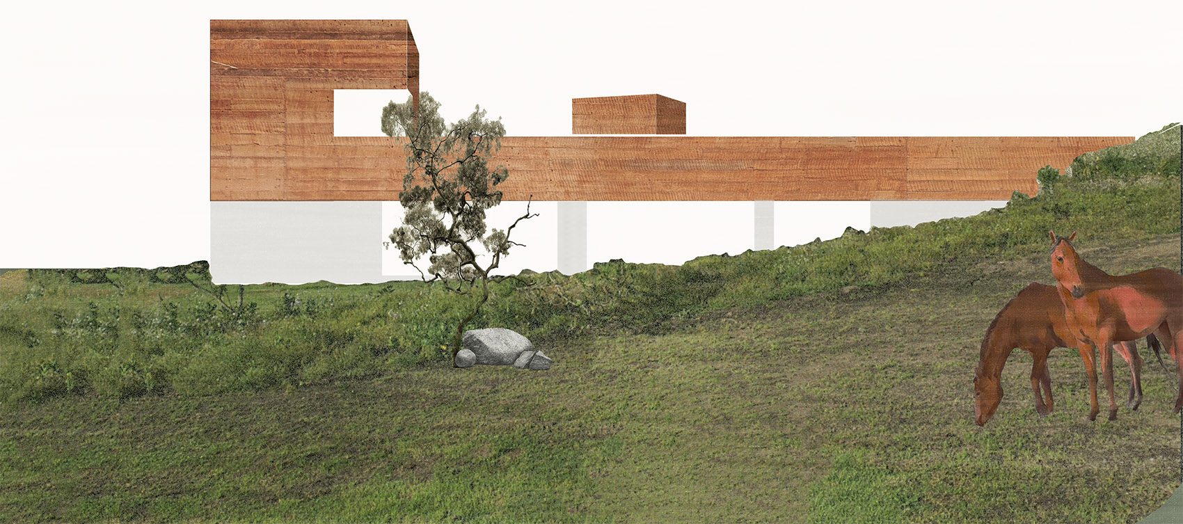 El Pastizal 住宅丨厄瓜多尔丨Diez+Muller Arquitectos-14