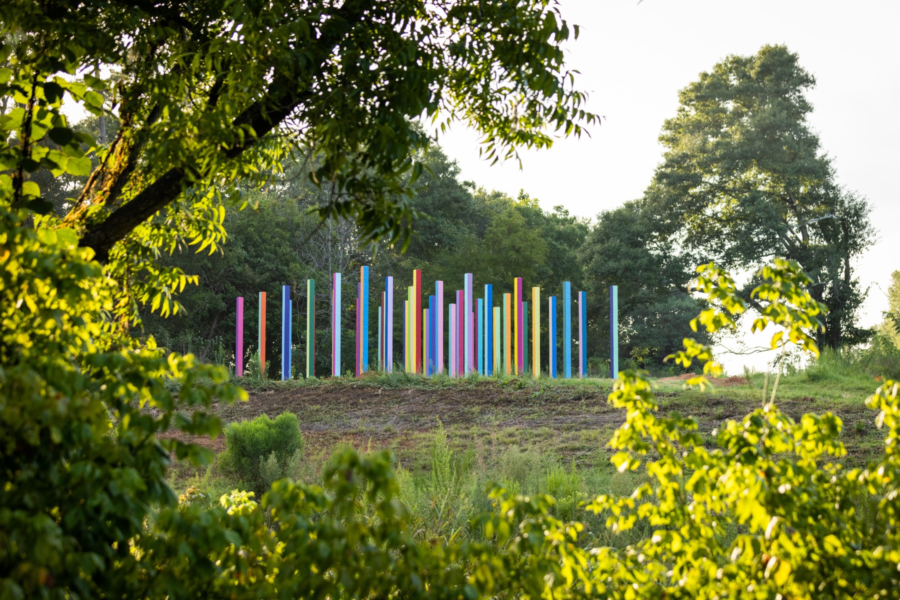 彩虹森林丨美国丨Office Kovacs-60