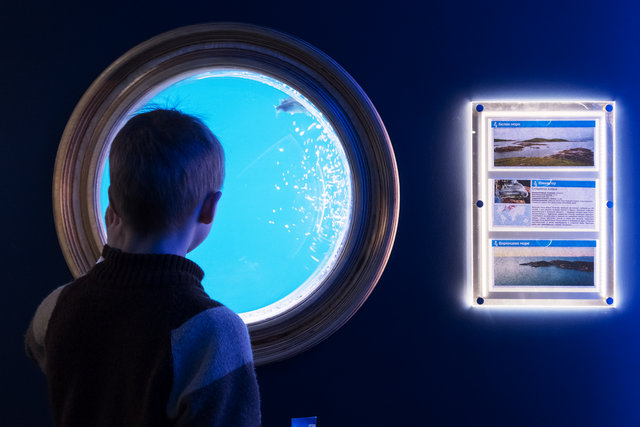 圣彼得堡海洋馆新展览创建项目丨俄罗斯圣彼得堡-41