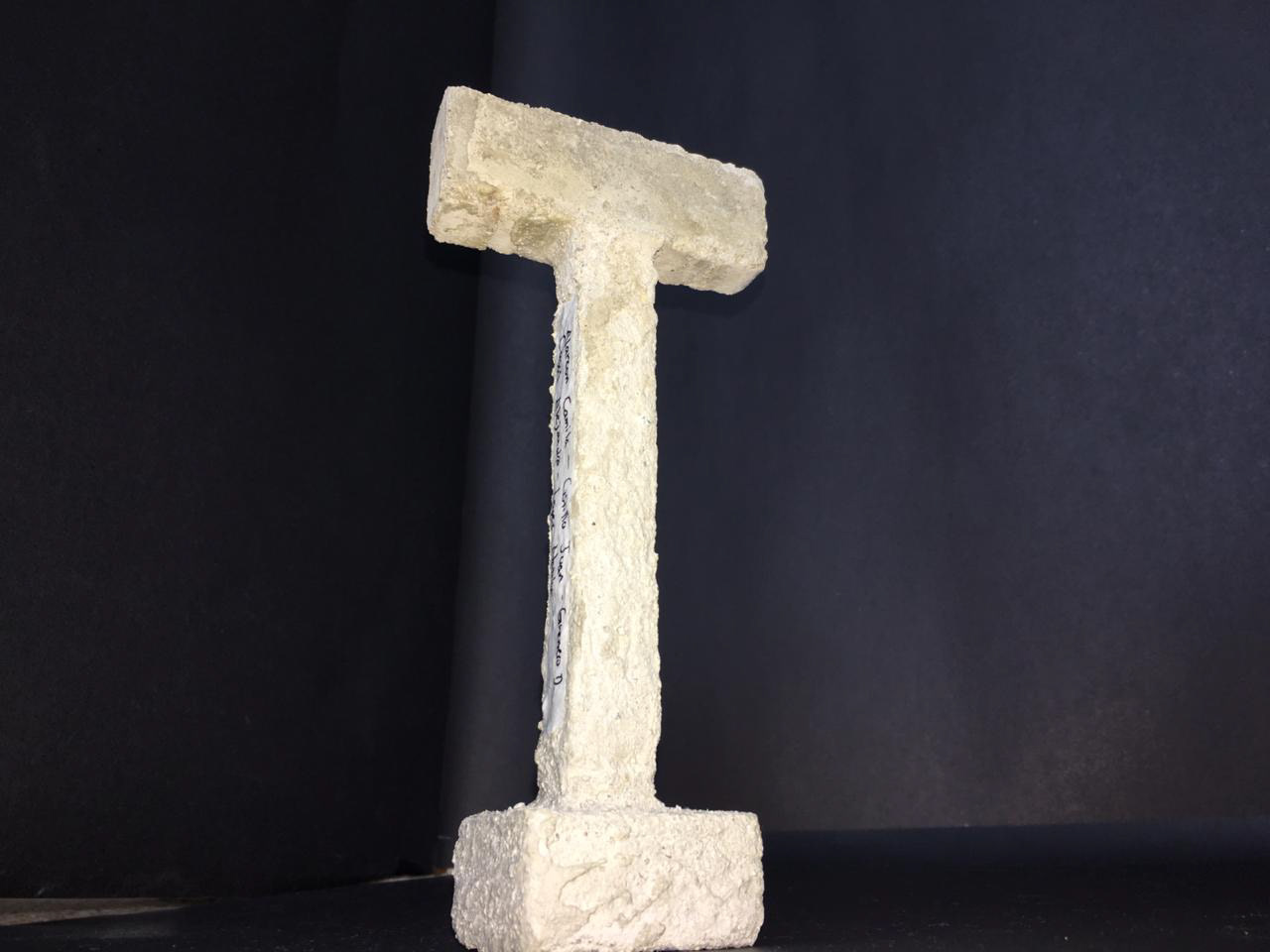 结构建模  TEC 元素整体-22