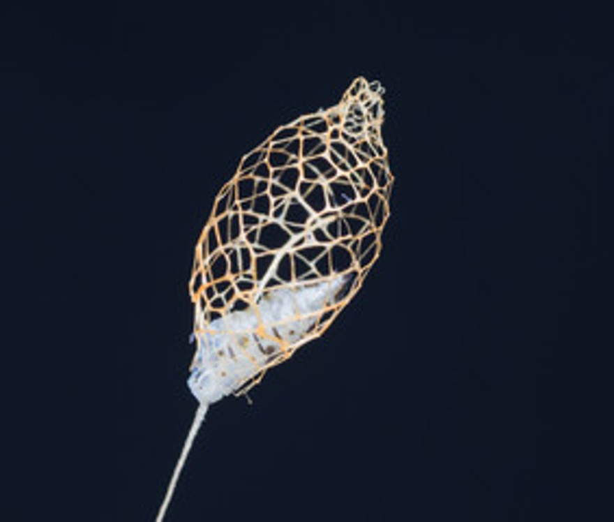 Louvresses overpass — Ateliers 2/3/4/-45