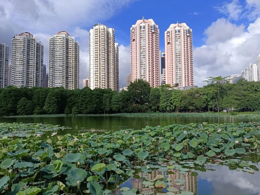 景观跑道开通!来罗湖体验一次逛两个公园的快乐吧~-5