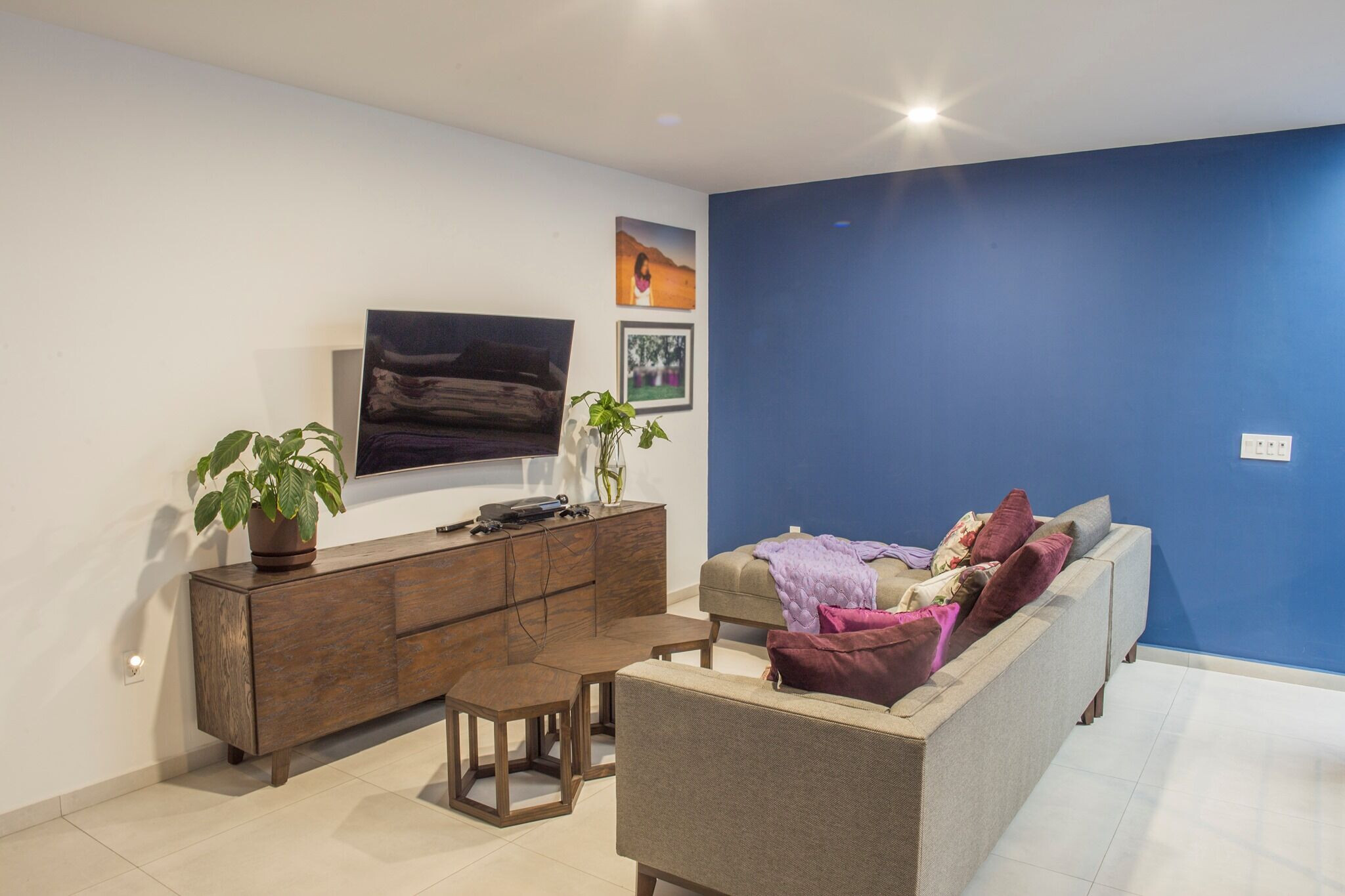 《蓝兰花之家》-30