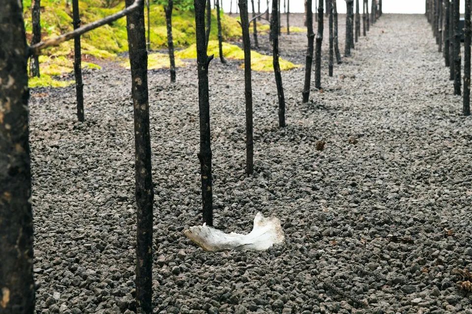 “呼唤希望”沉浸式装置丨奥地利维也纳丨Superflux 设计工作室-47