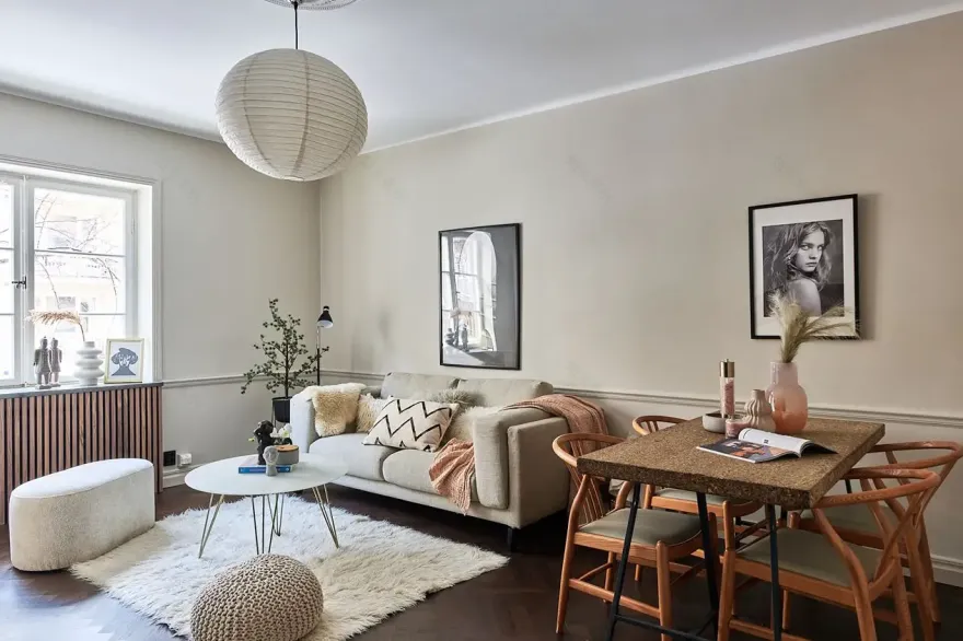 "斯德哥尔摩舒适小户型设计,开放厨房打造温馨生活空间"-2