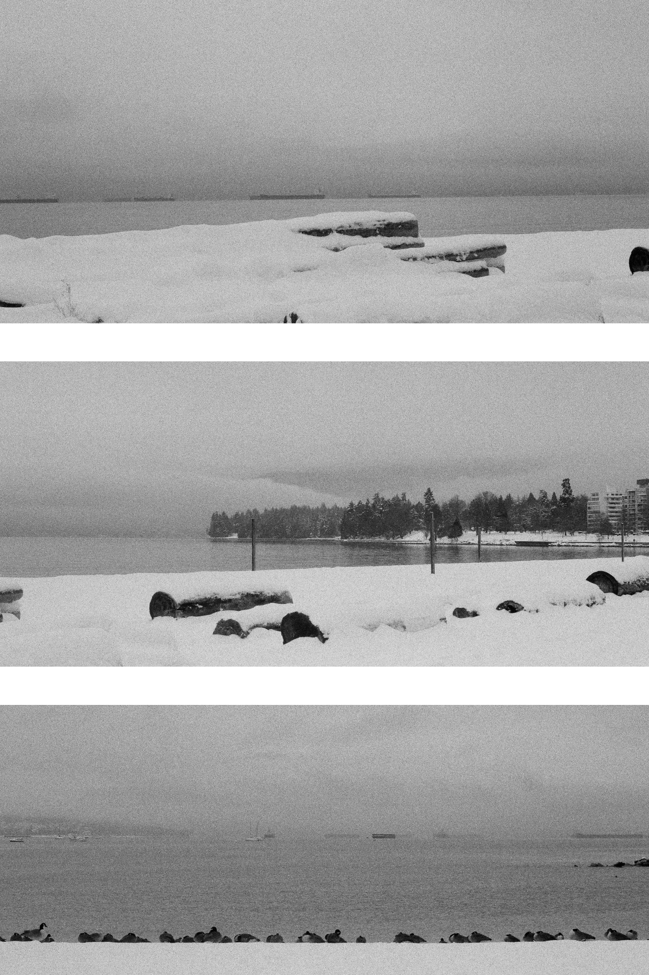 ALONG THE WEST COAST-6