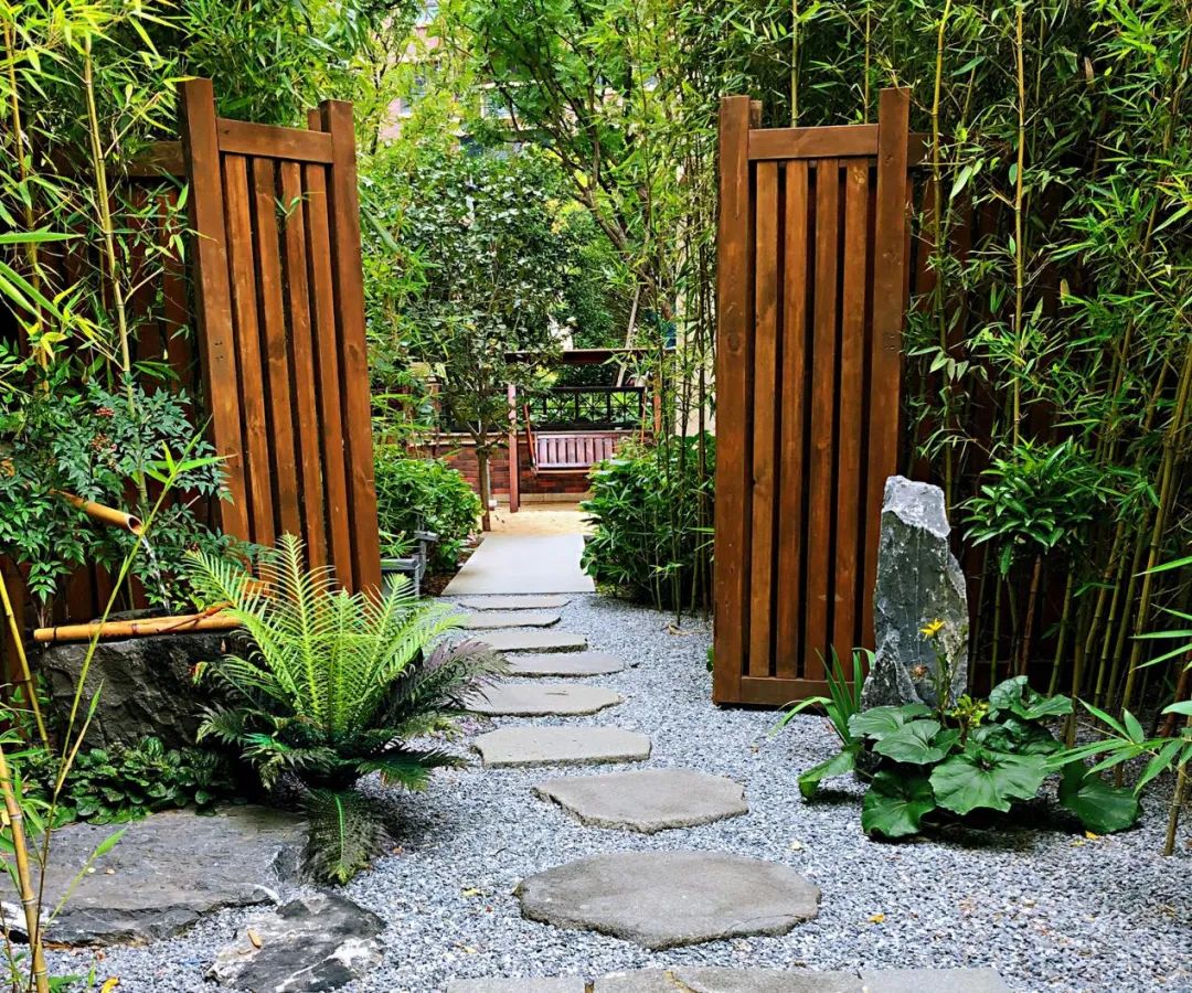 禅意花园里植物的那些事-168