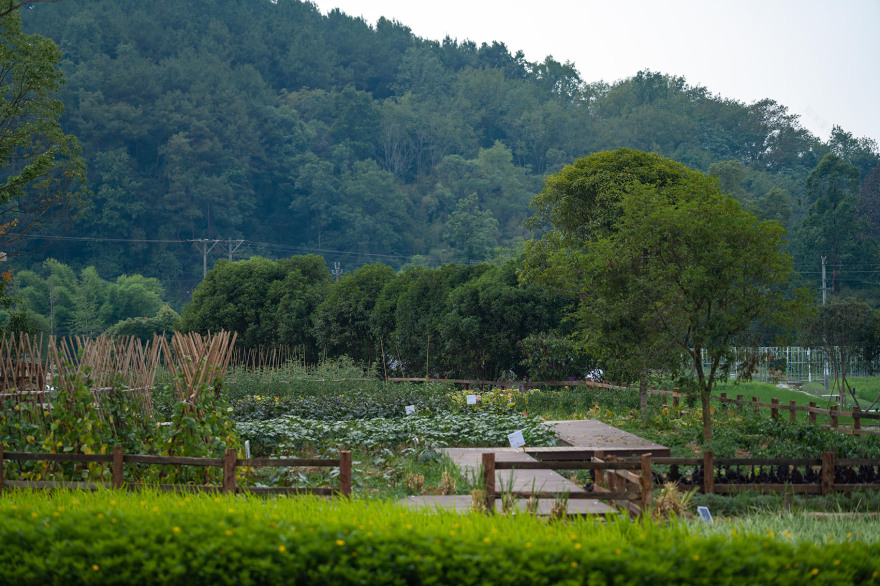 丘山阅田园文化村丨乐道景观-151