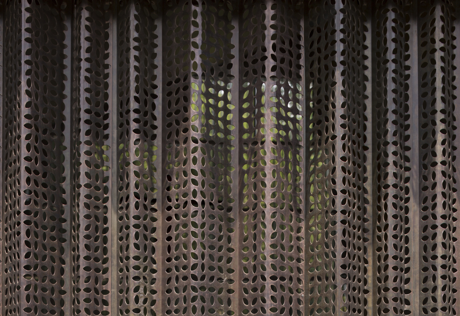 折叠屋顶下的绿意教堂-12