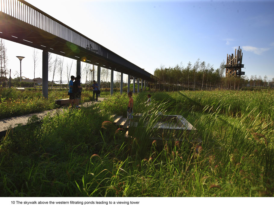 西安雁南公园（二期）丨中国西安丨土人设计（Turenscape）-248