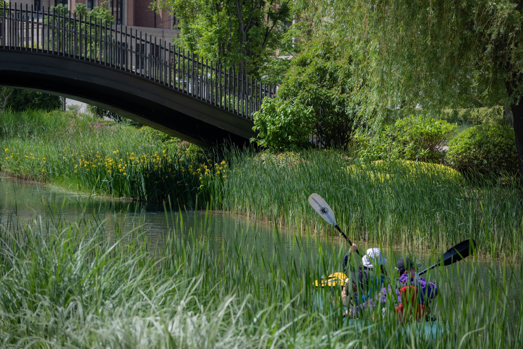 生态西川 · 郑州公园的绿色复兴丨中国郑州丨翰祥景观-97