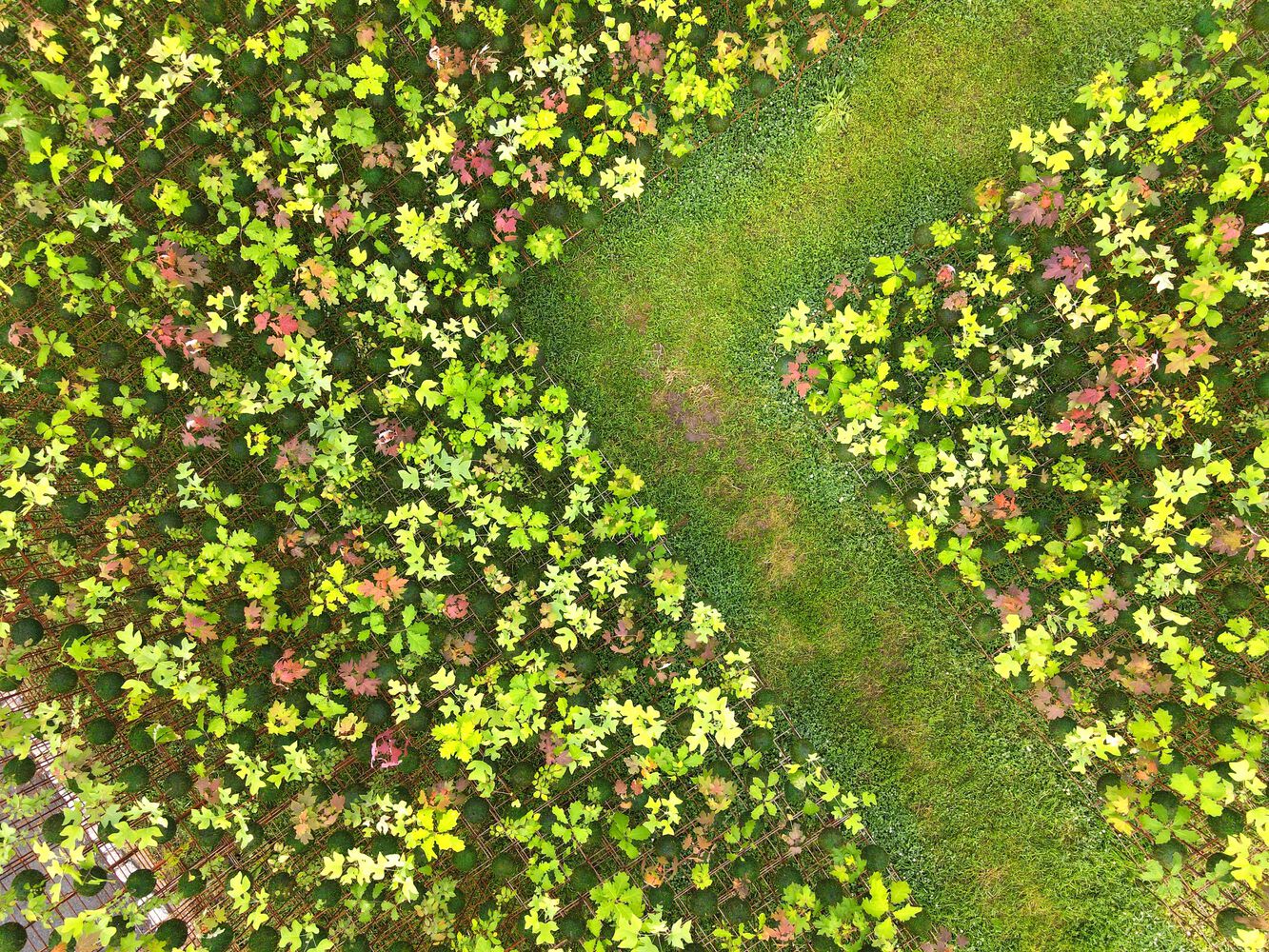 悬浮绿洲·美国费城 Kokedama Forest 装置设计丨Nomad Studio-31