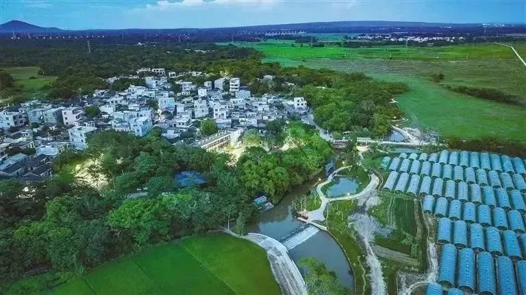 全域土地综合整治丨广州市城市规划勘测设计研究院-57