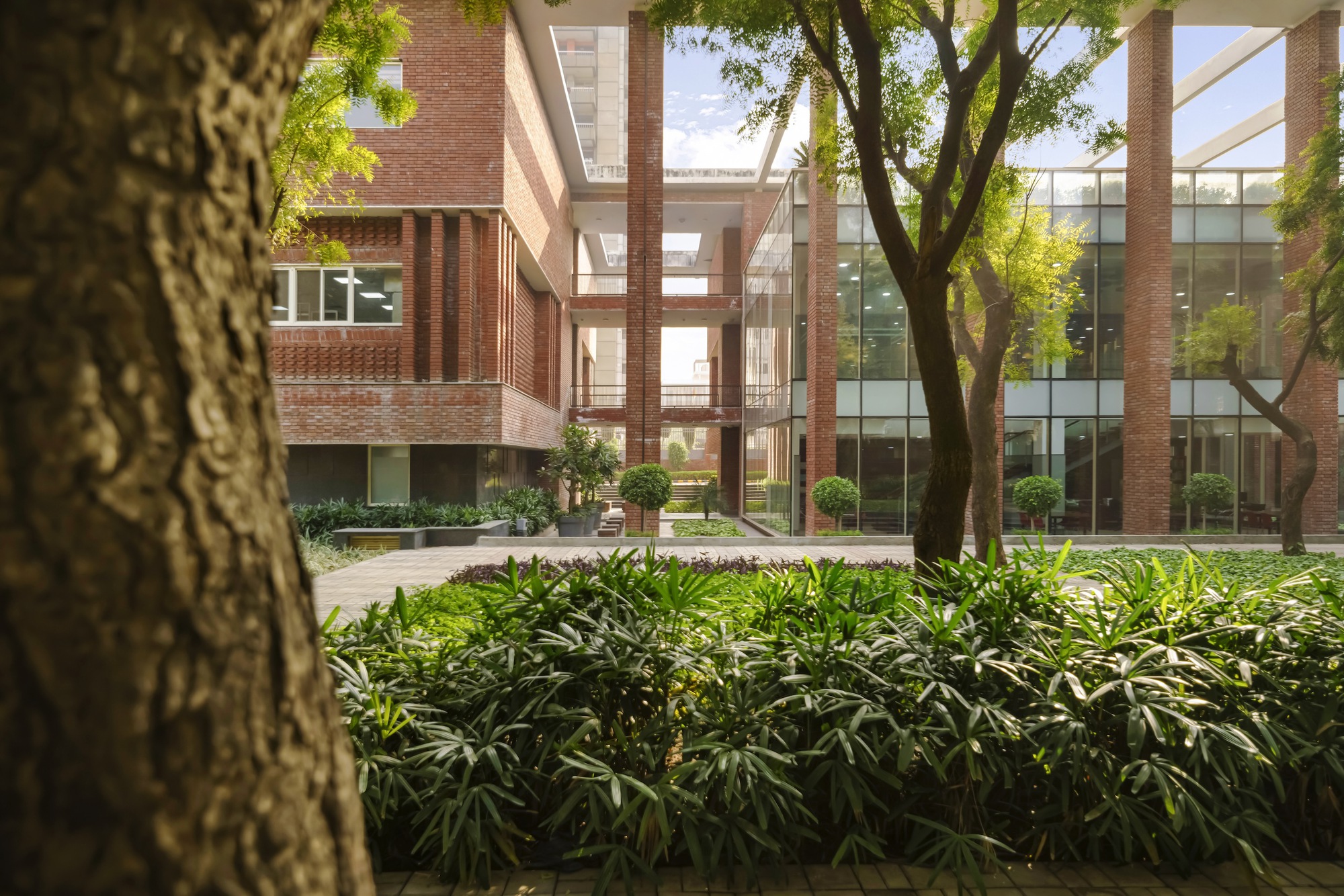 拉利特苏里酒店管理学院丨印度丨Morphogenesis-38