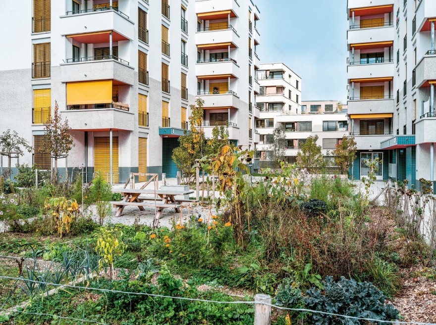 住宅项目“城市地块C”(Pièce urbaine C)丨瑞士洛桑丨Nicolas de Courten architectes(洛桑)-4