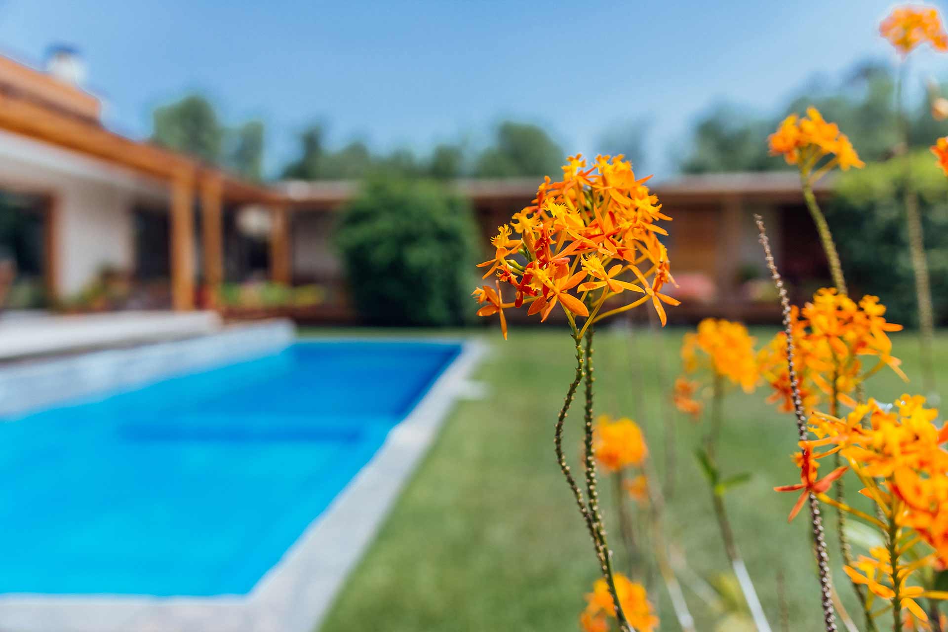 融合户外景观的乌拉圭私人住宅-17