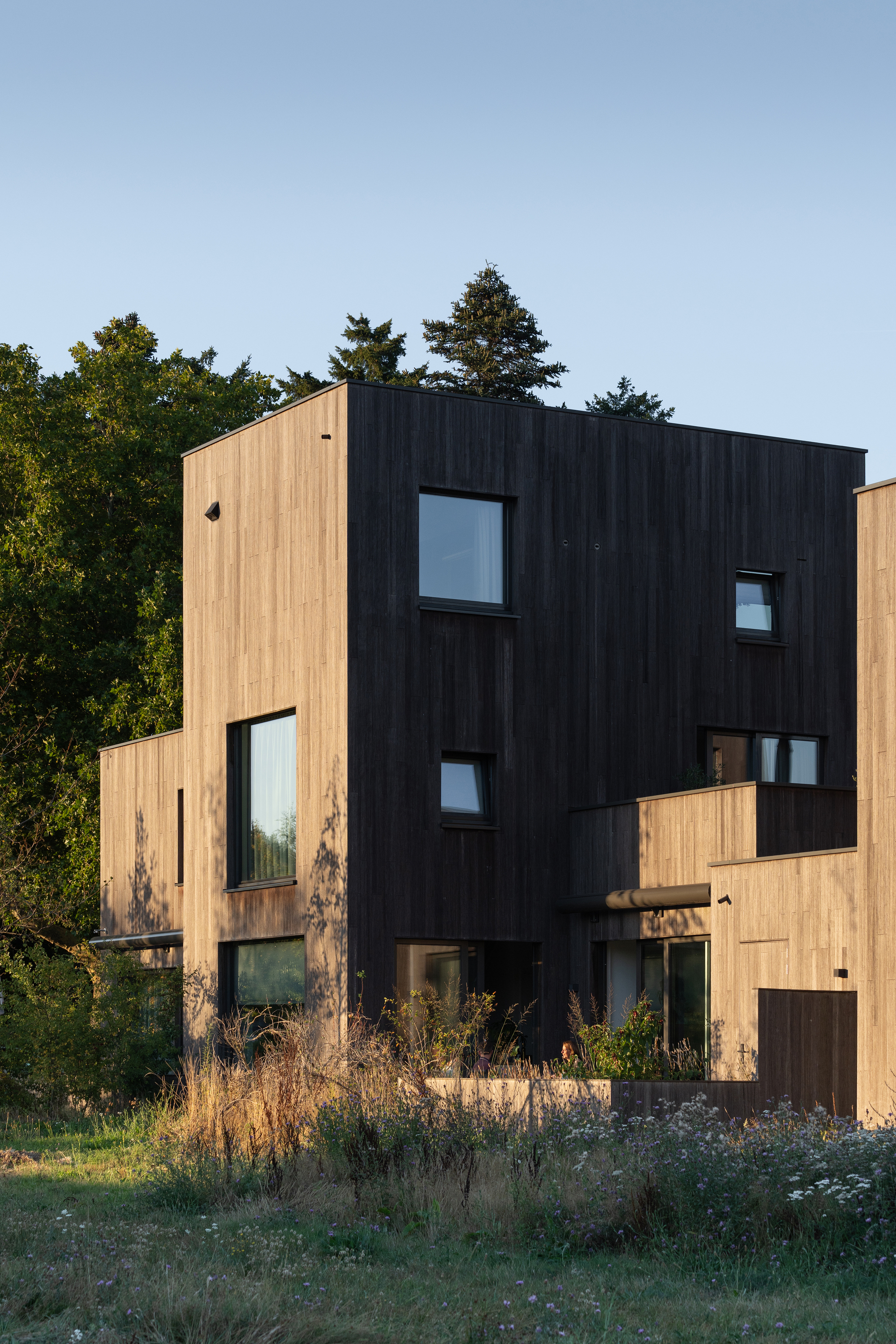 博斯里克住宅丨荷兰丨Marcel Lok_Architect-36