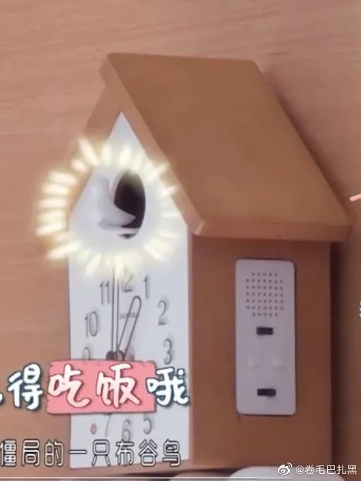 周笔畅的独居生活 | 仪式感与自由并存的家-37