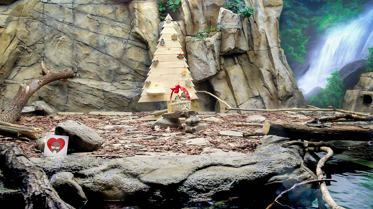 莫斯科水族馆水獭和海豹围栏及展区更新丨俄罗斯莫斯科-35