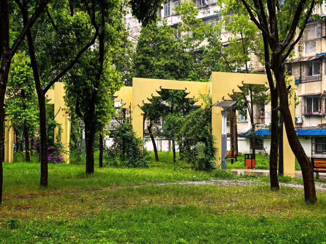 打卡城市“金角银边”丨城市绿地变社区康养公园，“藏”在红牌楼北街的“自然森林花园”-6