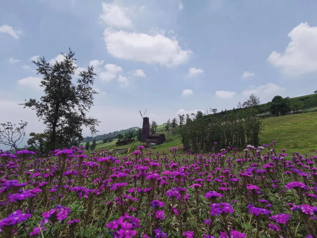 成都云顶牧场丨中国成都丨易兰规划设计院-37