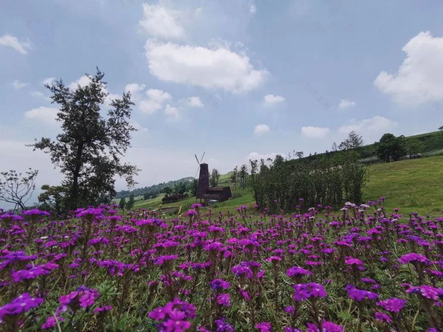 成都云顶牧场丨中国成都丨易兰规划设计院-37