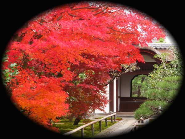 对龙山庄庭园丨日本京都丨七代目小川治兵衛-63