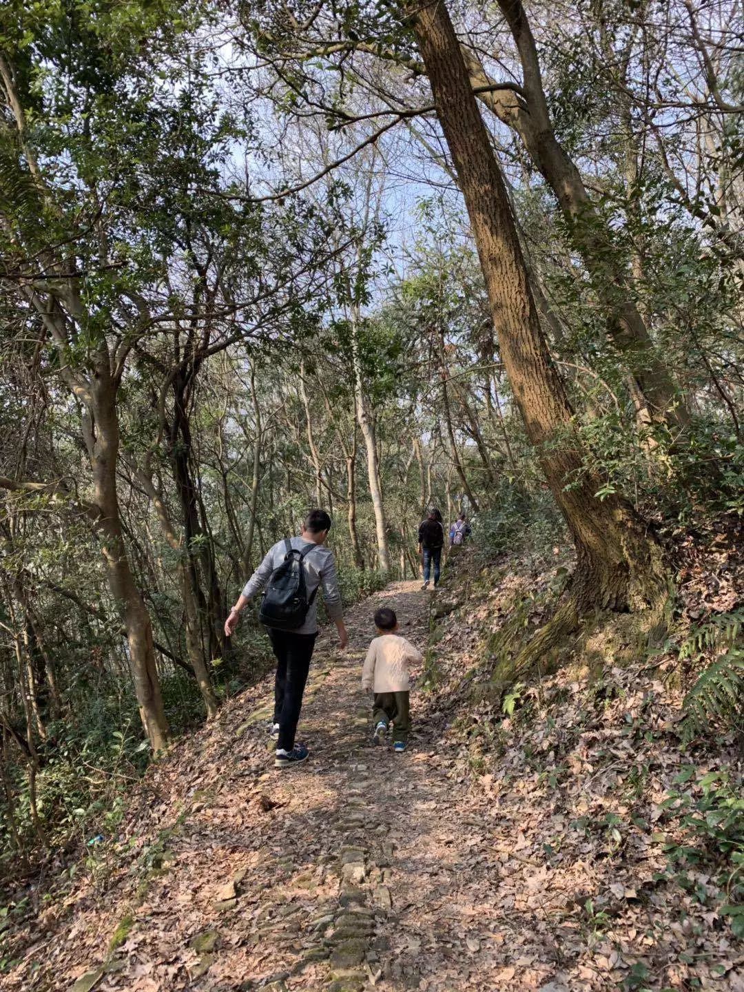 海华院春日踏青活动回顾 | 和谐邻里，美景尽收眼底-31