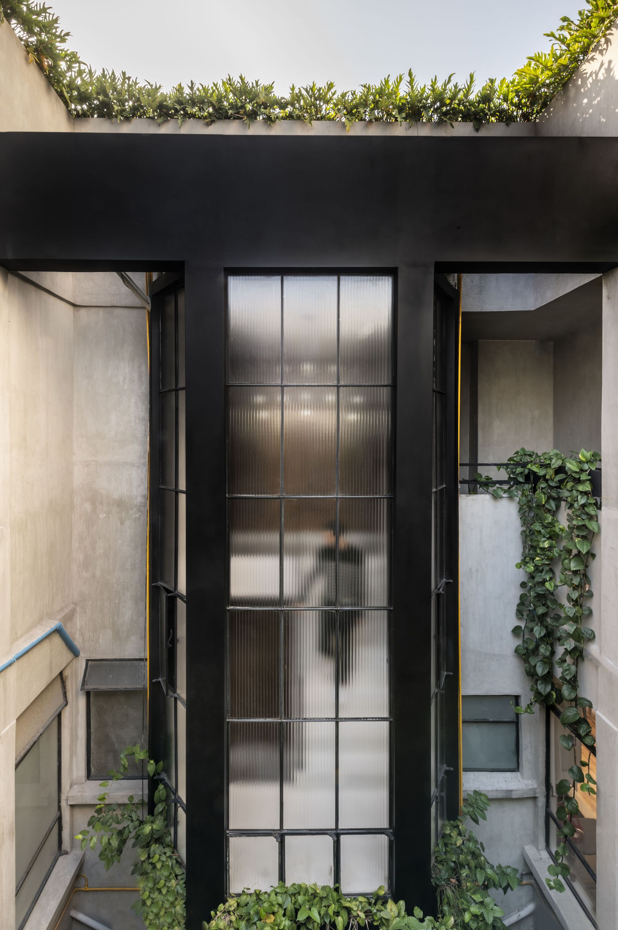 Pachuca 81 建筑改造丨墨西哥墨西哥城丨Namikase Studio-17