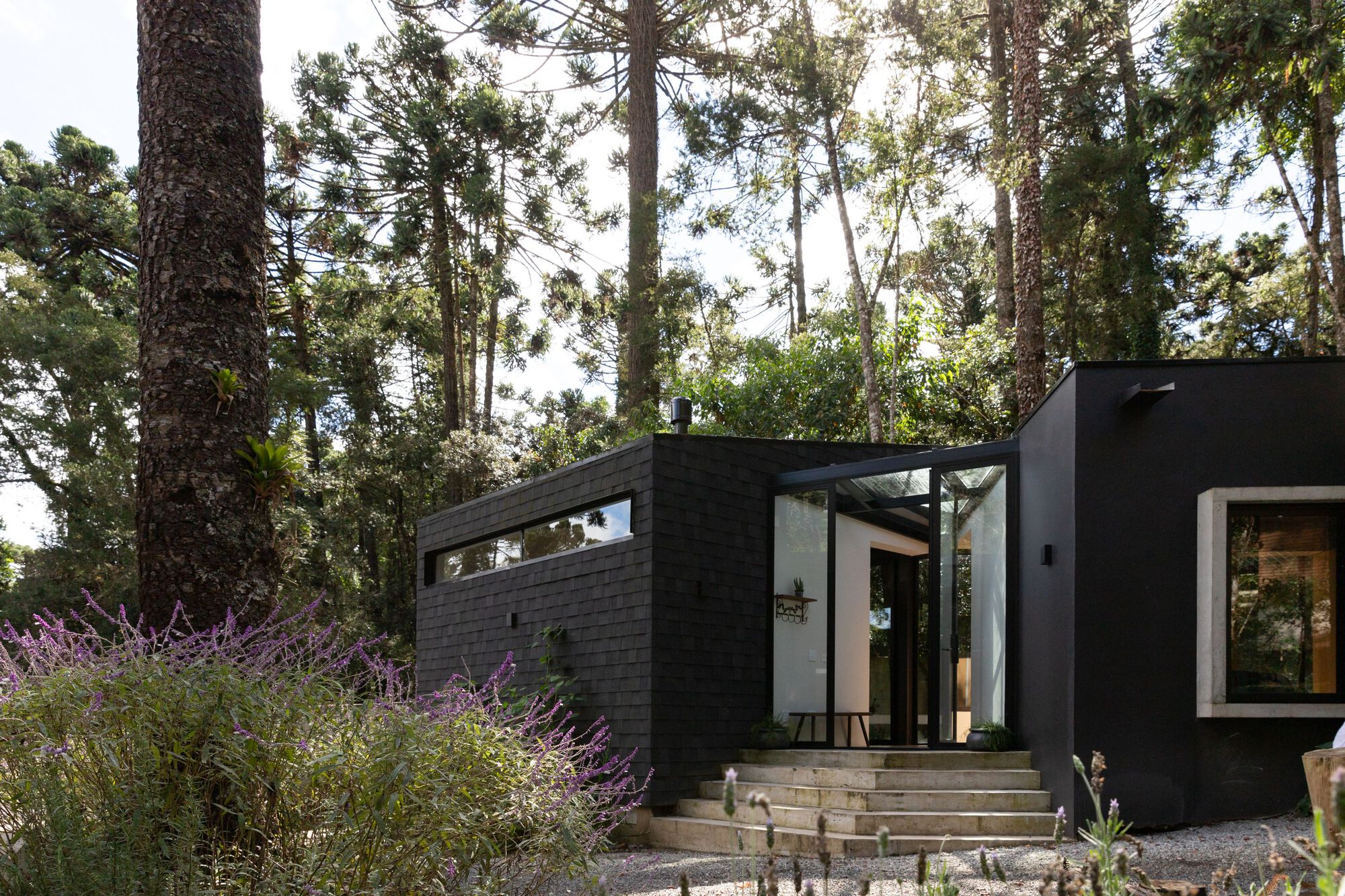 丨巴西丨ARKITITO Arquitetura-11