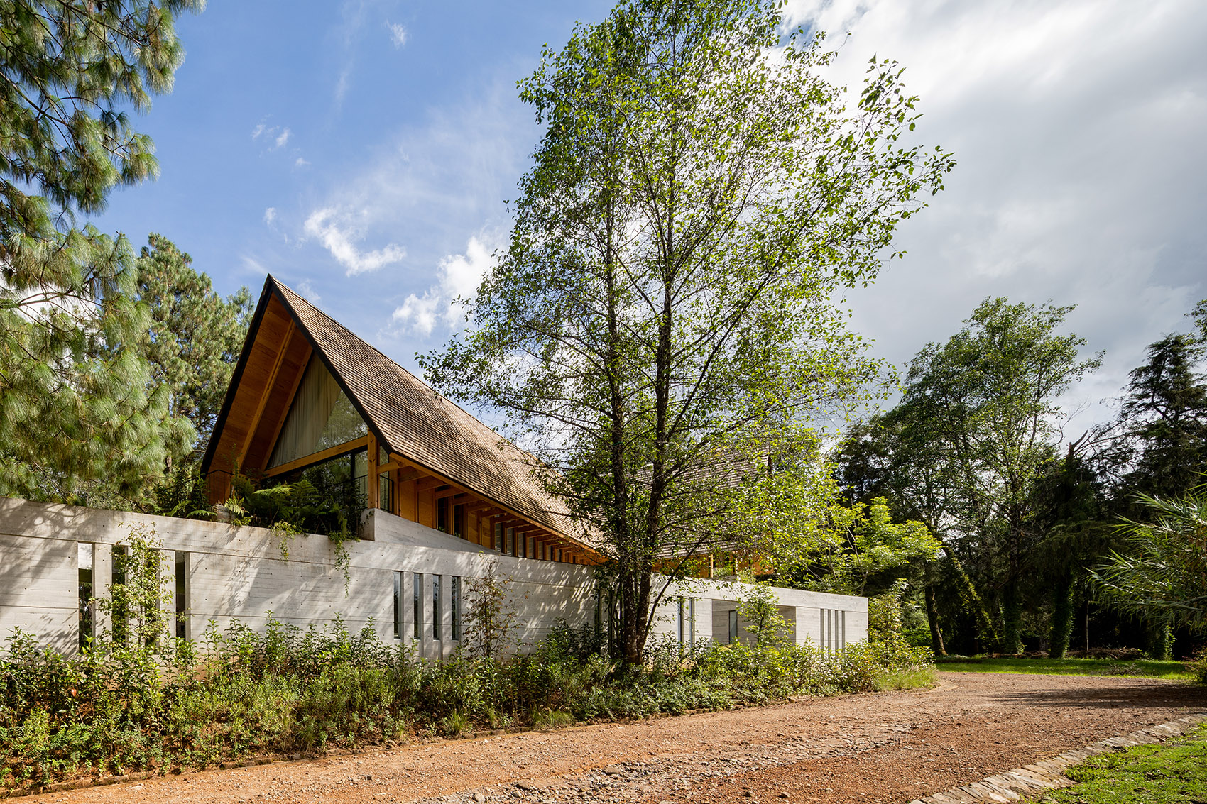 墨西哥 CRA 住宅丨Estudio MMX-8