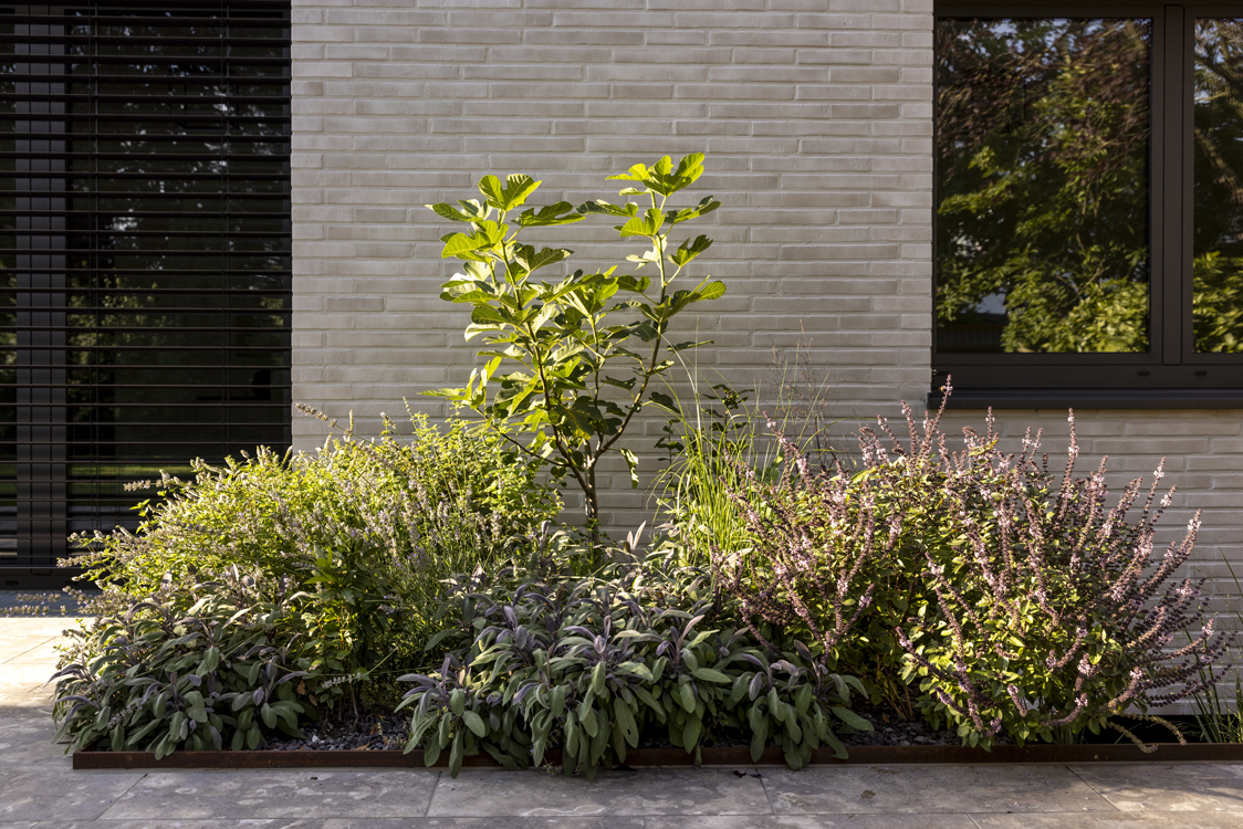 丨Döring Dahmen Joeressen Architekten-5