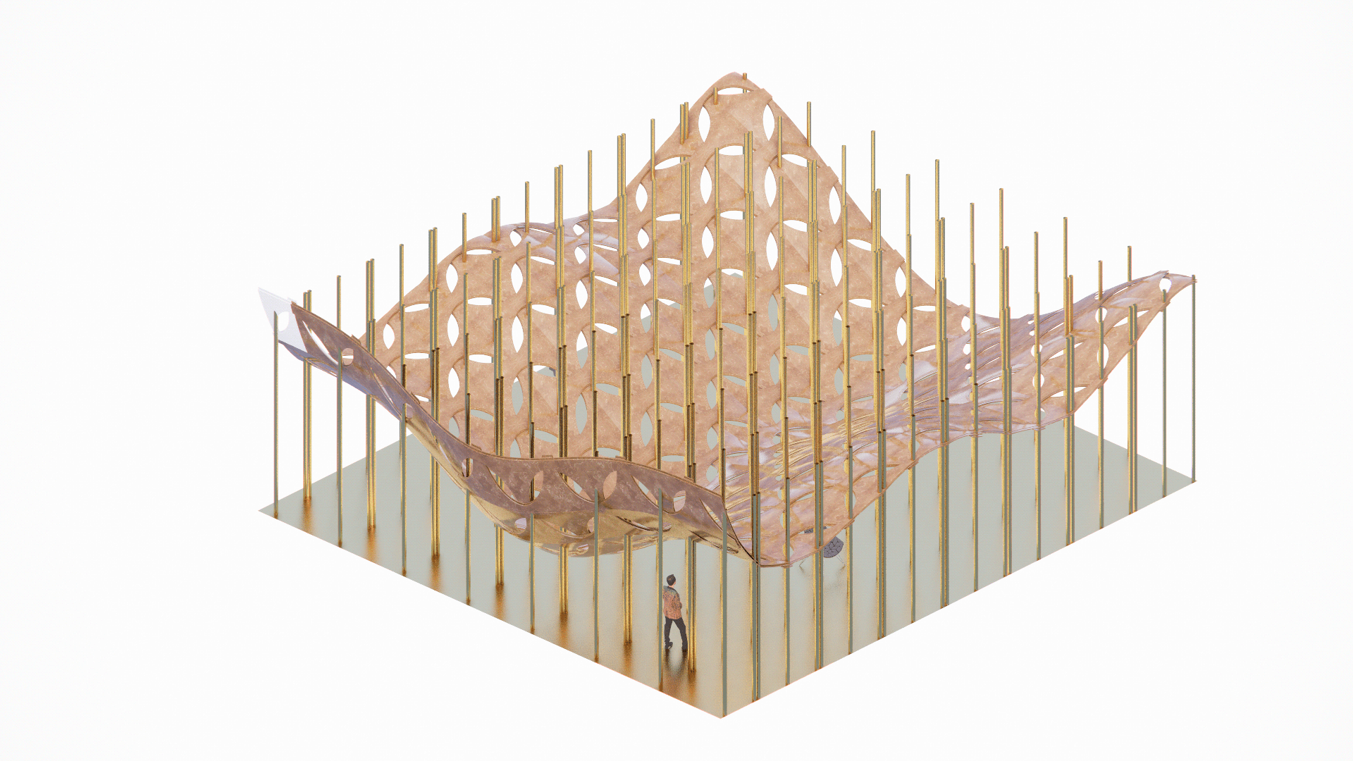 项目扩张丨Samuel Mariscal-20