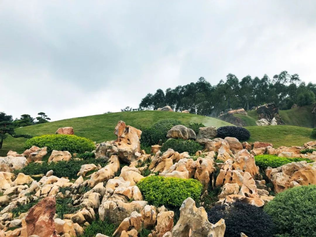 南宁罗汉松园 | 写意山水与天人合一的现代园林-81