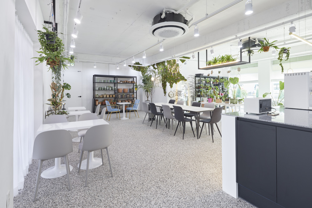 现代植物咖啡厅，30 平米空间里的绿色美学-4