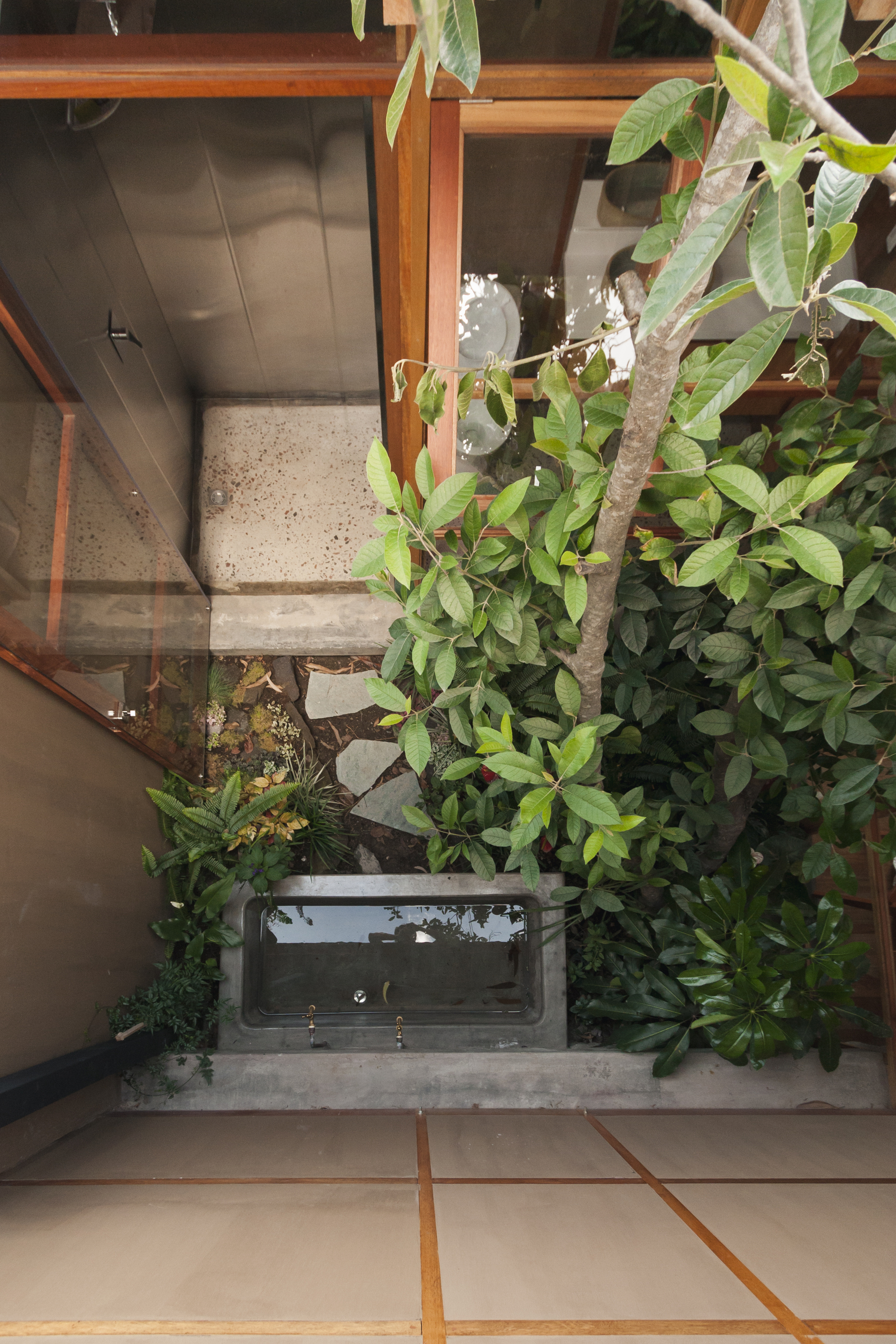 House Among Trees / El Sindicato Arquitectura-47