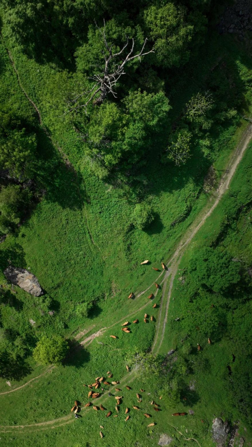 “薪火”天文台丨中国陕西丨安哲建筑-1