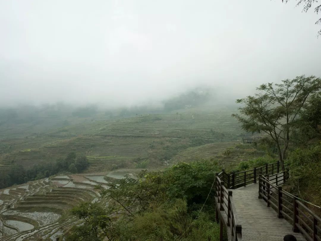 雾中苏红 | 自然、情感与时间的交融-9