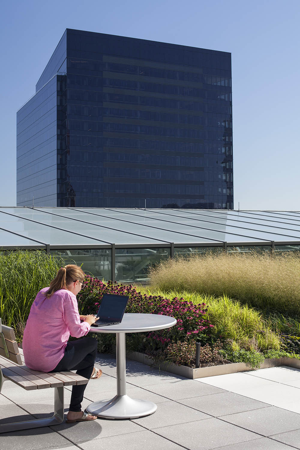 波士顿海港广场绿色屋顶花园丨美国波士顿丨Copley Wolff 设计集团-3