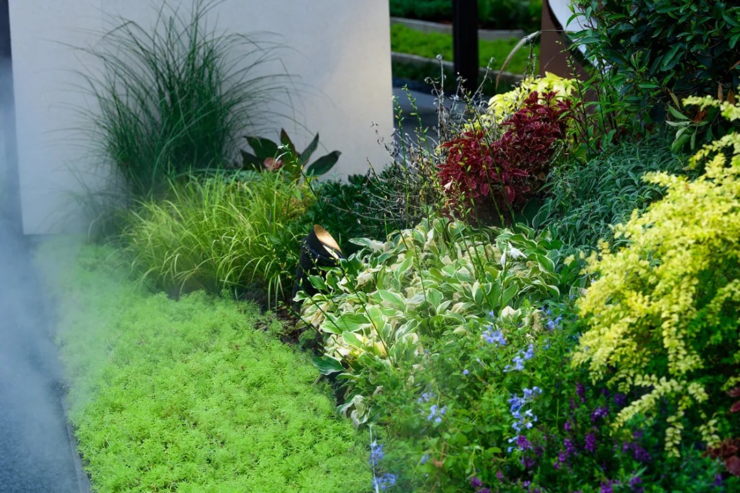   赛肯思景观丨芜湖 拓弘·时光里  景观设计 丨中国安徽-50