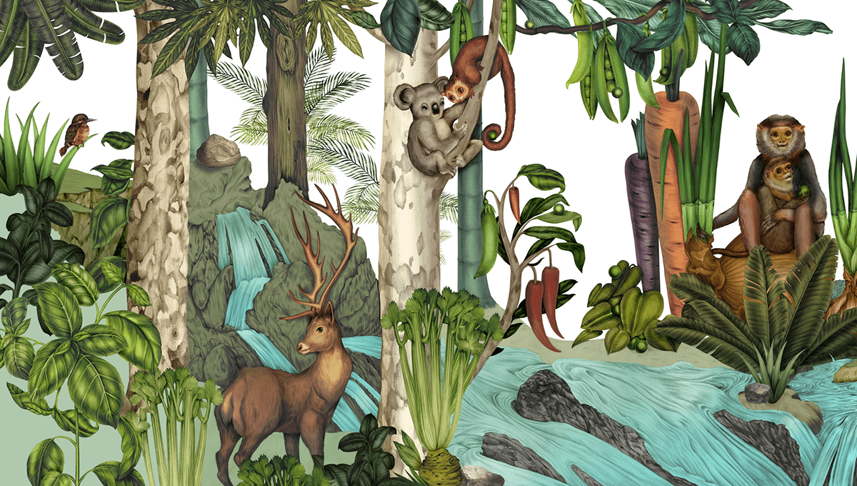 冰岛素食汤吧“SÚPA”-6