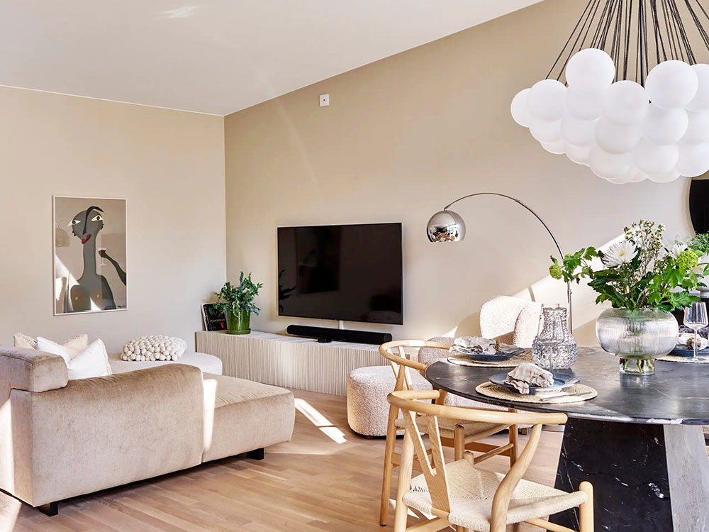 瑞典南部现代简约别墅设计-10