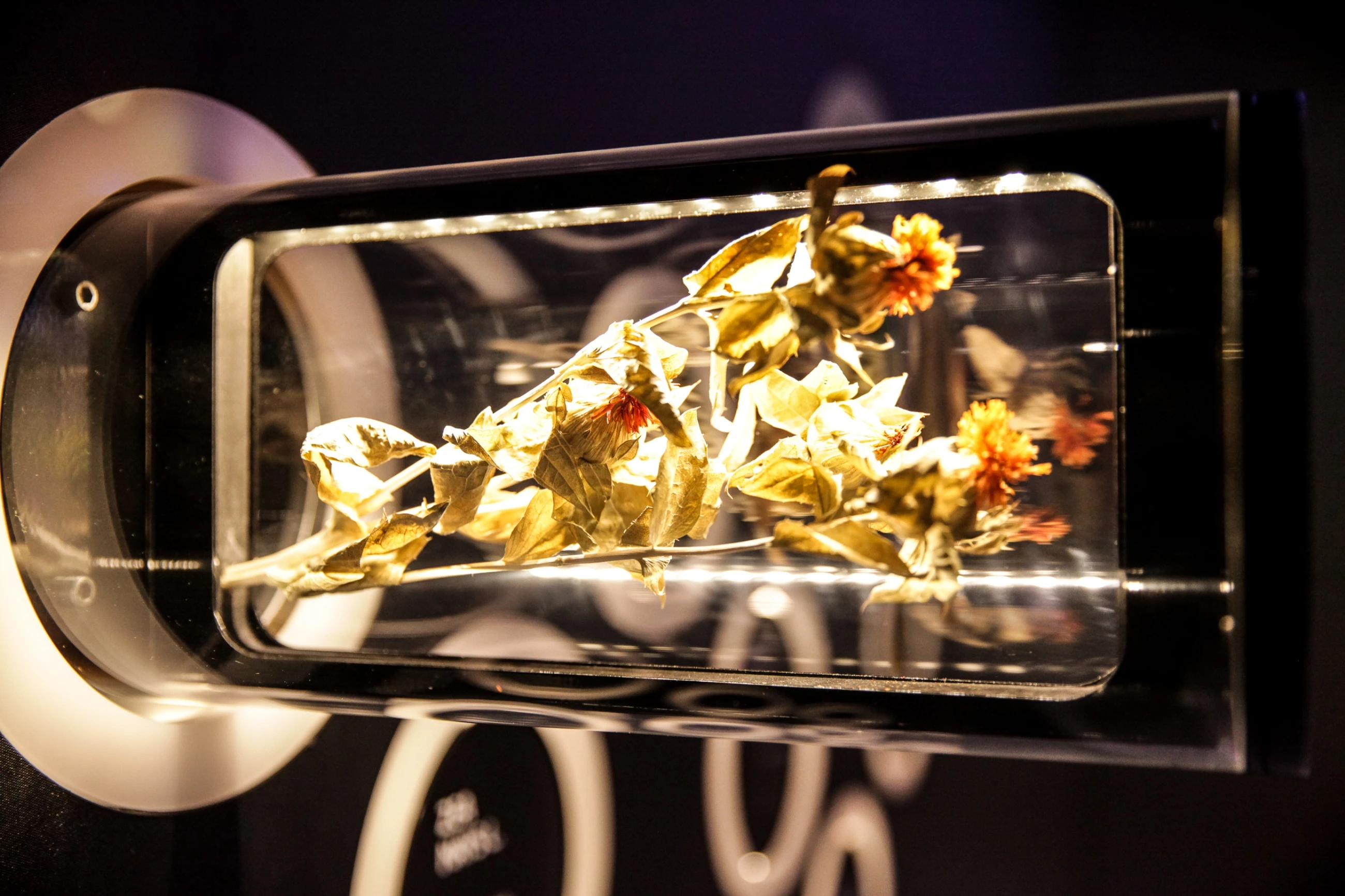 哈萨克斯坦 2015 世博会展馆 | 呈现传统与现代的和谐共生-18