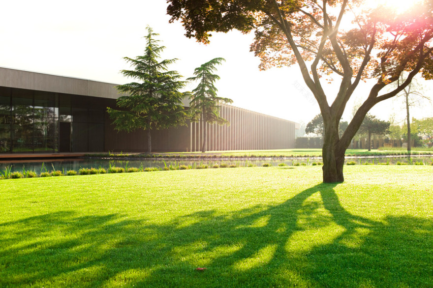 瑞士树博物馆丨Enzo Enea-14