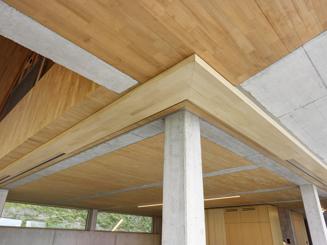 瑞士亭子之家丨瑞士苏黎世丨GusWüstemann-13