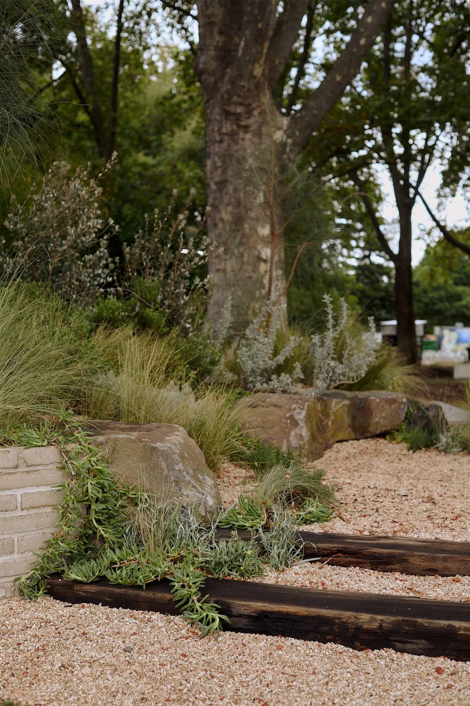 维多利亚 SaltBush 展示花园丨加拿大维多利亚-6